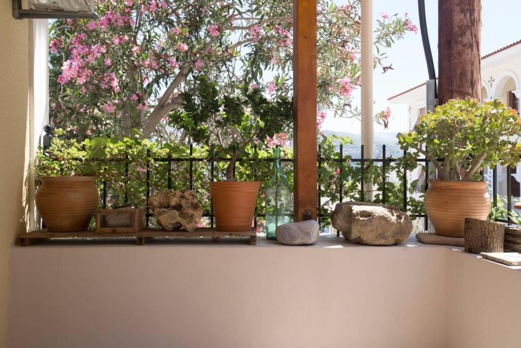 Kostas' House Argostoli Villa ภายนอก รูปภาพ
